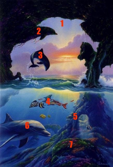 7 dolphins found